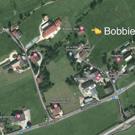Villa Bobbies Nest à Schladming Extérieur photo