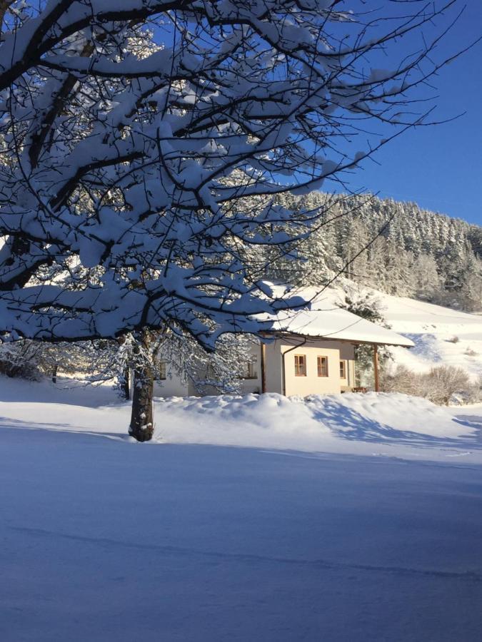 Villa Bobbies Nest à Schladming Extérieur photo