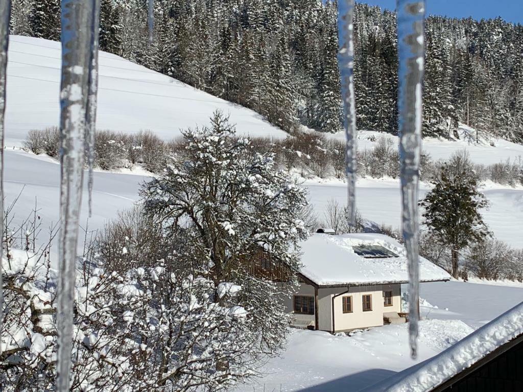 Villa Bobbies Nest à Schladming Extérieur photo