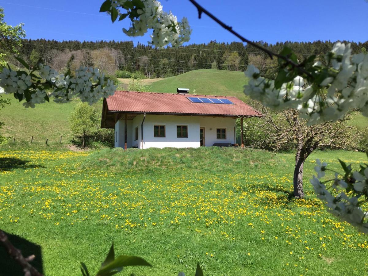 Villa Bobbies Nest à Schladming Extérieur photo